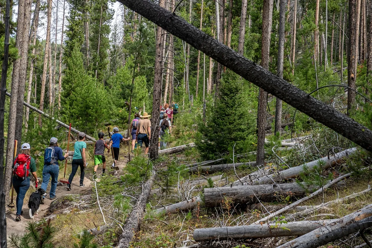 Volunteers heading into a coastal forest with tools for a trail-restoration day.