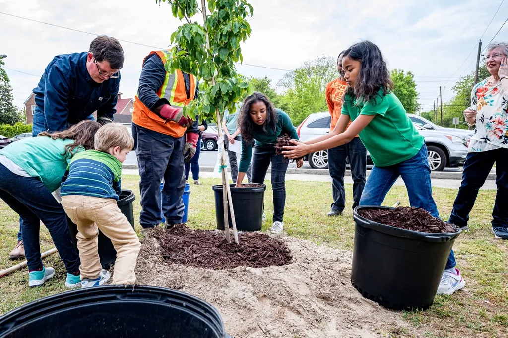 A community group planting and mulching a young tree together.